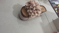 Shoes 38 - GRG-03467