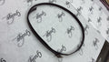 Belt - GRG-03817